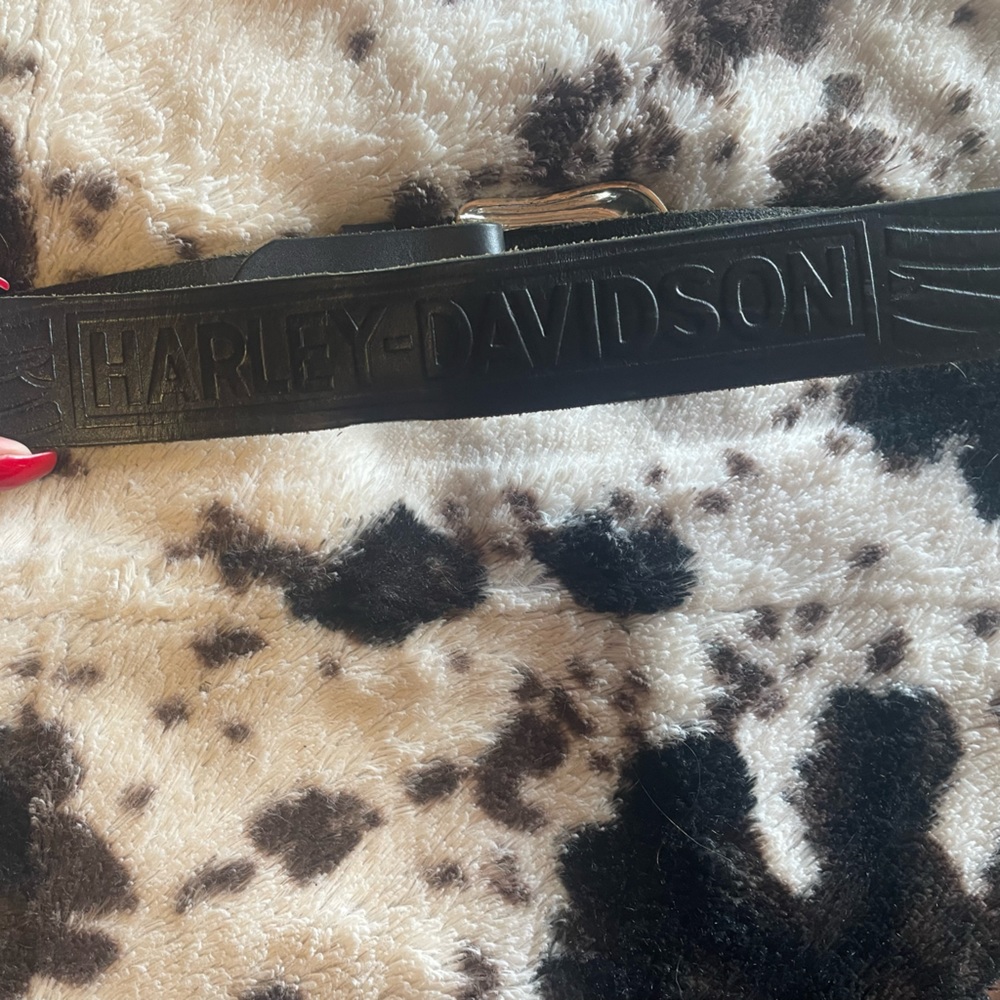 Womens Harley Davidson Belt